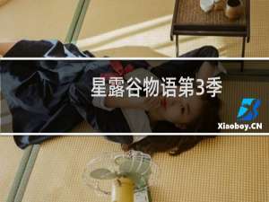 星露谷物语第3季