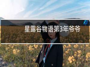 星露谷物语第3年爷爷
