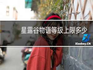 星露谷物语等级上限多少