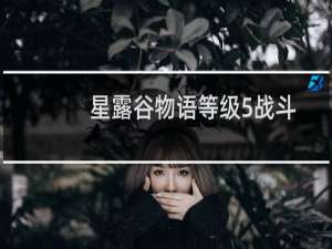 星露谷物语等级5战斗