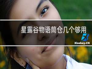 星露谷物语筒仓几个够用