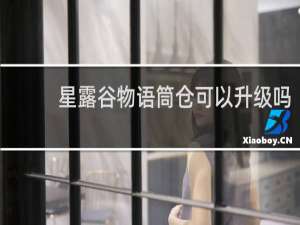 星露谷物语筒仓可以升级吗