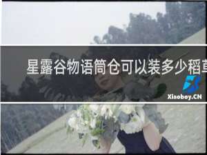 星露谷物语筒仓可以装多少稻草