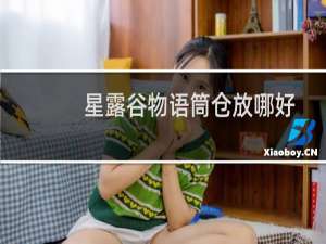 星露谷物语筒仓放哪好