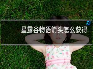 星露谷物语箭头怎么获得