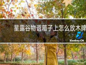 星露谷物语箱子上怎么放木牌