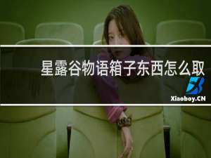 星露谷物语箱子东西怎么取