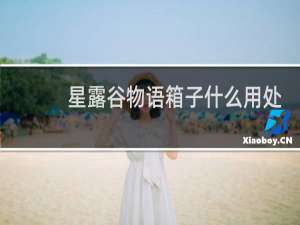 星露谷物语箱子什么用处