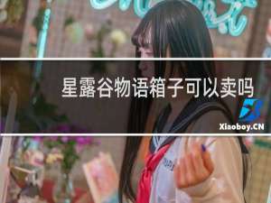 星露谷物语箱子可以卖吗