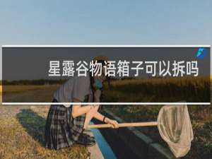 星露谷物语箱子可以拆吗