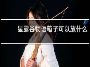 星露谷物语箱子可以放什么