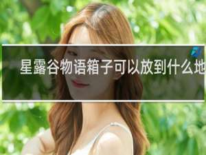 星露谷物语箱子可以放到什么地方