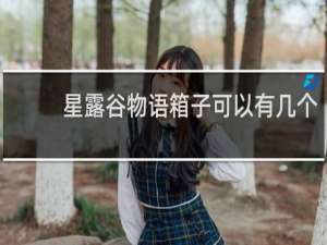 星露谷物语箱子可以有几个