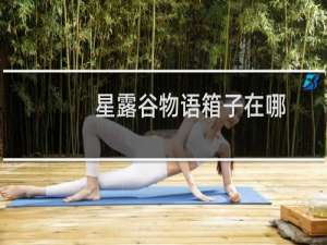 星露谷物语箱子在哪