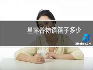 星露谷物语箱子多少