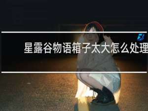 星露谷物语箱子太大怎么处理