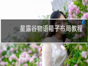 星露谷物语箱子布局教程
