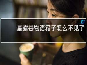 星露谷物语箱子怎么不见了