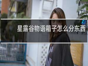 星露谷物语箱子怎么分东西