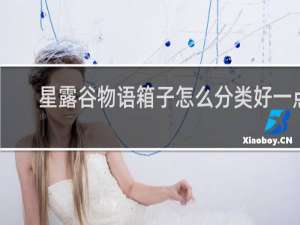 星露谷物语箱子怎么分类好一点