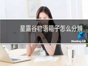 星露谷物语箱子怎么分辨