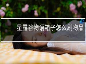 星露谷物语箱子怎么刷物品