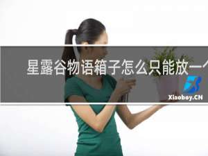 星露谷物语箱子怎么只能放一个