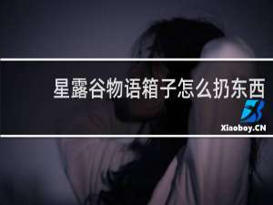 星露谷物语箱子怎么扔东西