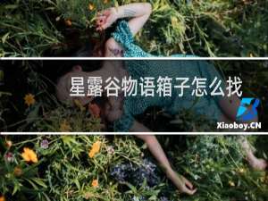 星露谷物语箱子怎么找