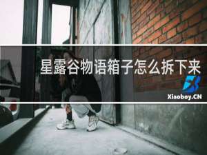 星露谷物语箱子怎么拆下来