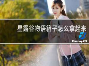 星露谷物语箱子怎么拿起来