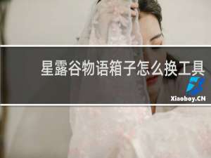 星露谷物语箱子怎么换工具