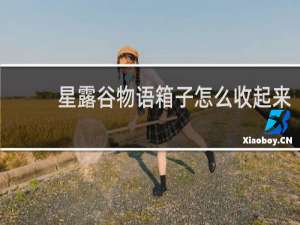 星露谷物语箱子怎么收起来