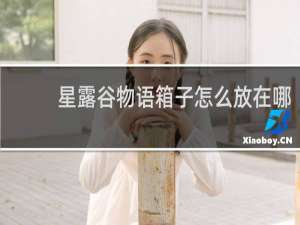 星露谷物语箱子怎么放在哪