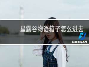 星露谷物语箱子怎么进去