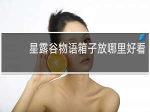 星露谷物语箱子放哪里好看