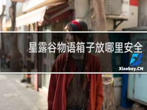 星露谷物语箱子放哪里安全