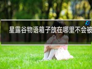 星露谷物语箱子放在哪里不会被踢