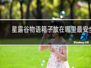 星露谷物语箱子放在哪里最安全