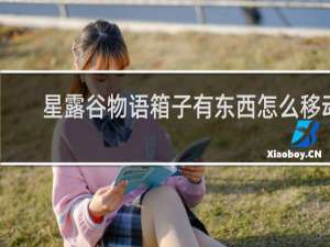 星露谷物语箱子有东西怎么移动