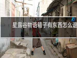 星露谷物语箱子有东西怎么退