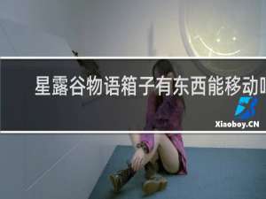 星露谷物语箱子有东西能移动吗