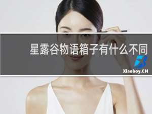 星露谷物语箱子有什么不同