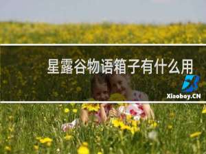 星露谷物语箱子有什么用