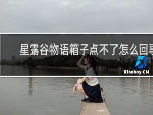 星露谷物语箱子点不了怎么回事