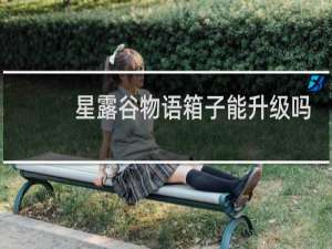 星露谷物语箱子能升级吗