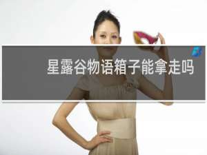 星露谷物语箱子能拿走吗