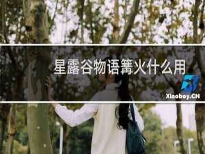 星露谷物语篝火什么用