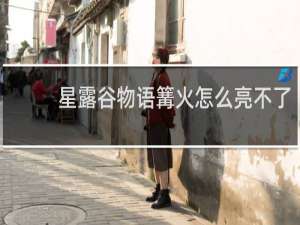 星露谷物语篝火怎么亮不了