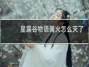 星露谷物语篝火怎么灭了